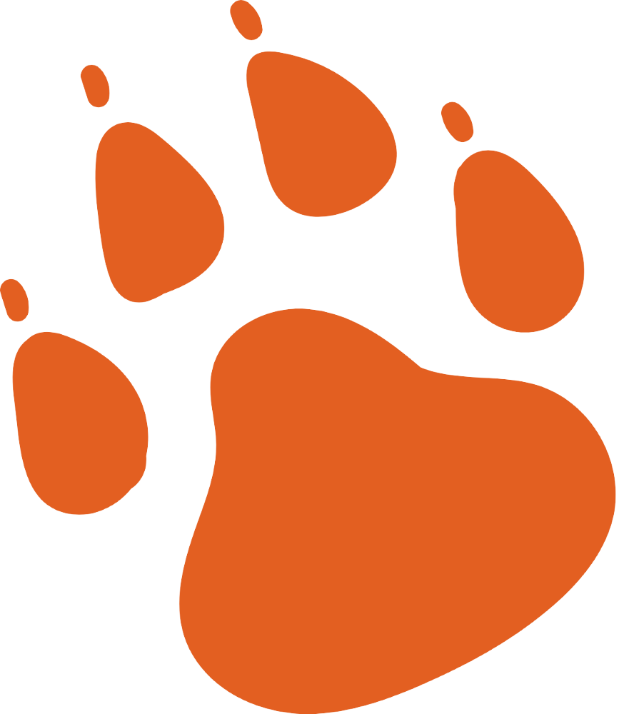 oranž odrážka 1000 x 888